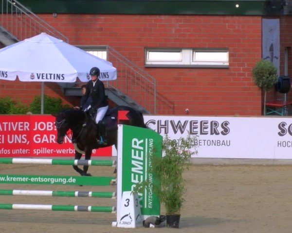 Reitturnier Borken 2025