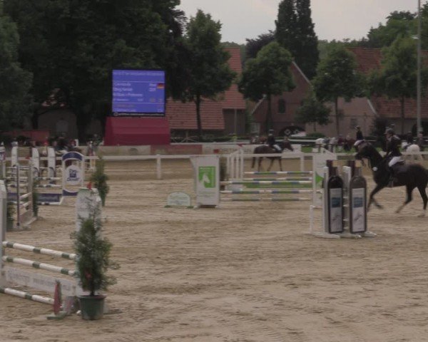 Reitturnier Everswinkel 2025