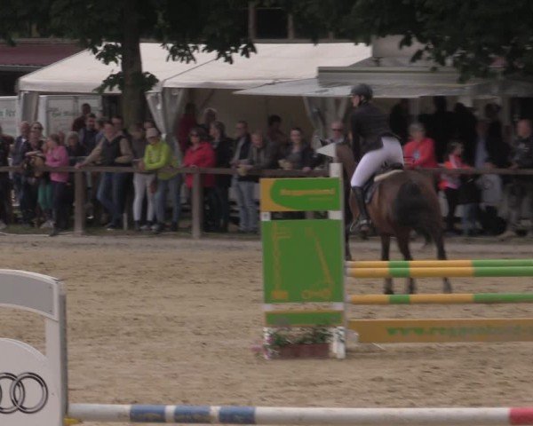 Reitturnier Everswinkel 2025