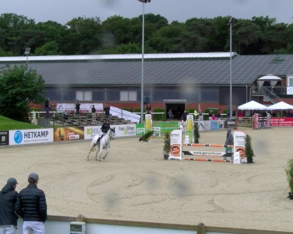 Reitturnier Borken 2025
