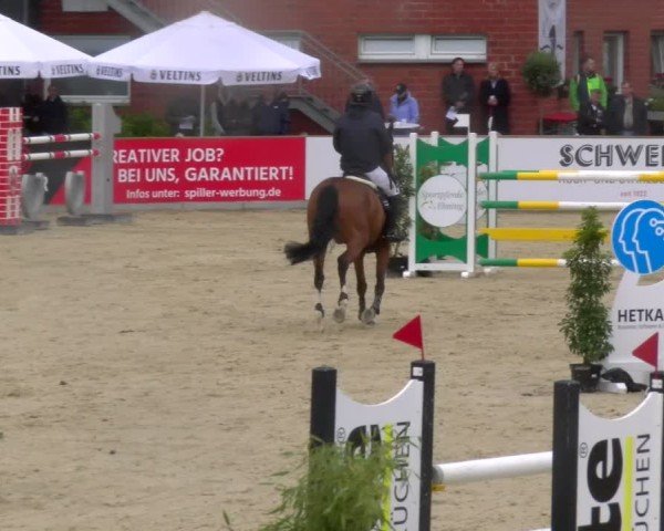 Reitturnier Borken 2025