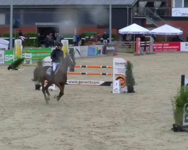 Reitturnier Borken 2025