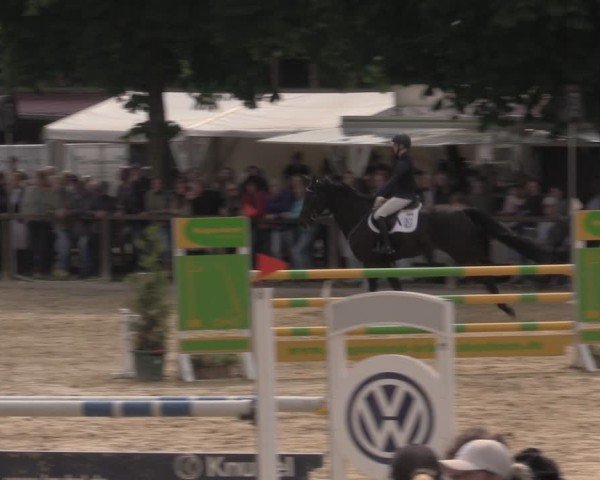 Reitturnier Everswinkel 2025