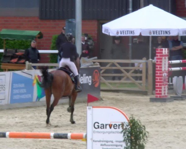 Reitturnier Borken 2025