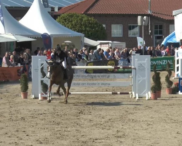 Lenklarer Reitertage 2014