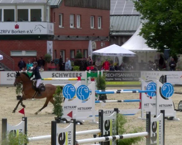 Reitturnier Borken 2025