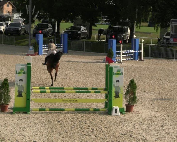 Reitturnier Fehraltorf 2025