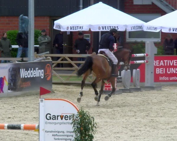 Reitturnier Borken 2025