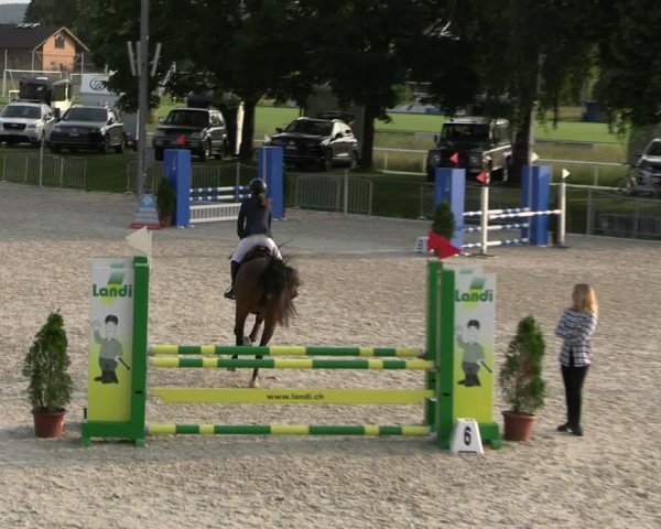 Reitturnier Fehraltorf 2025