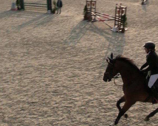 Reitturnier Fehraltorf 2025