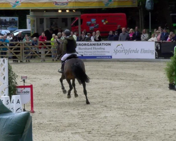 Reitturnier Borken 2025