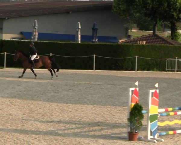 Reitturnier Fehraltorf 2025