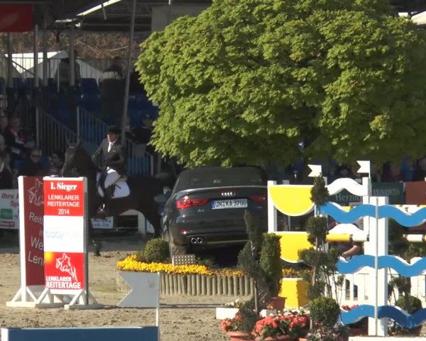 Reitturnier Werne-Lenklar 2014