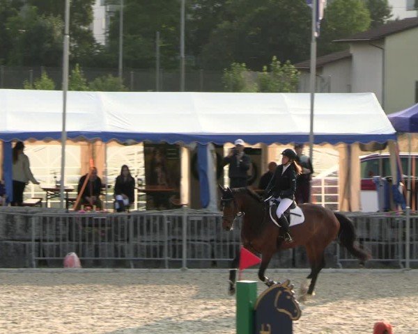 Reitturnier Fehraltorf 2025
