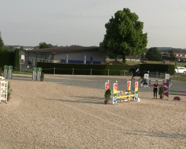 Reitturnier Fehraltorf 2025