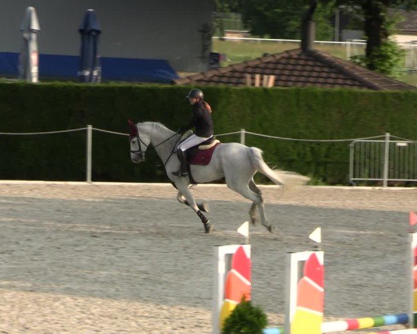 Reitturnier Fehraltorf 2025