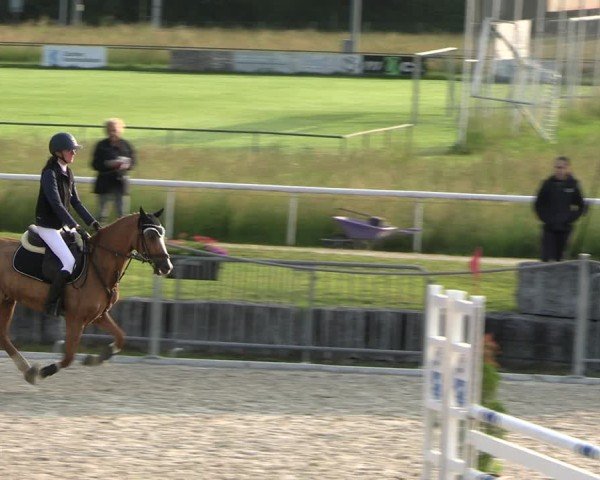 Reitturnier Fehraltorf 2025