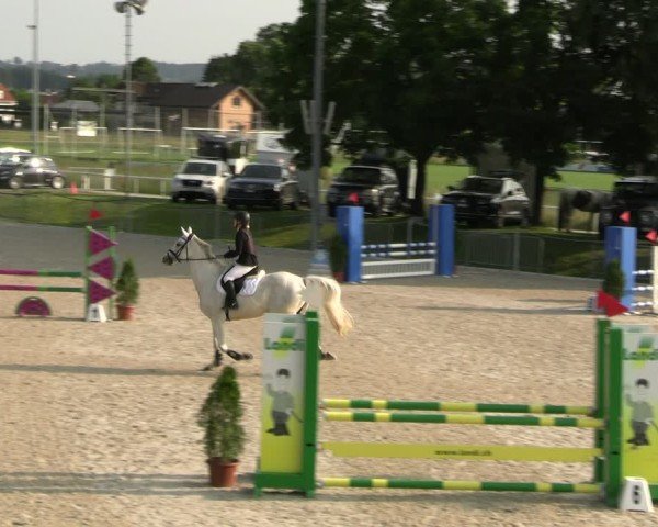 Reitturnier Fehraltorf 2025