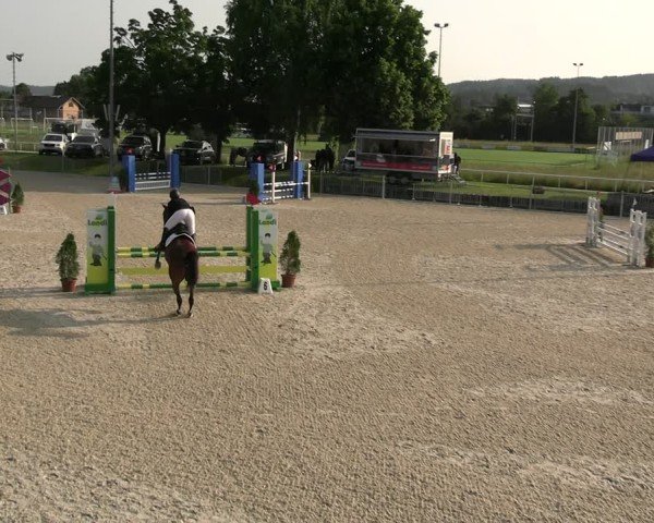 Reitturnier Fehraltorf 2025