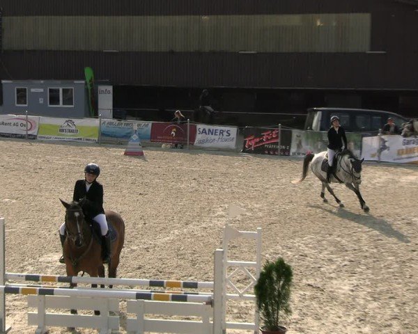Reitturnier Fehraltorf 2025