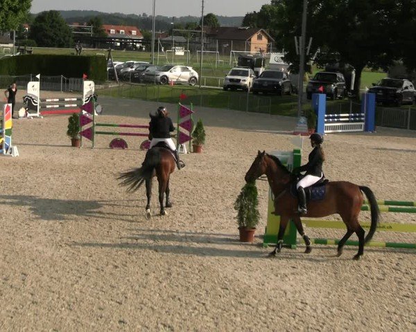 Reitturnier Fehraltorf 2025