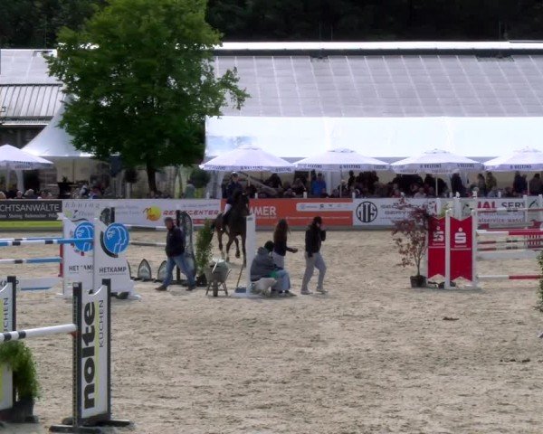 Reitturnier Borken 2025