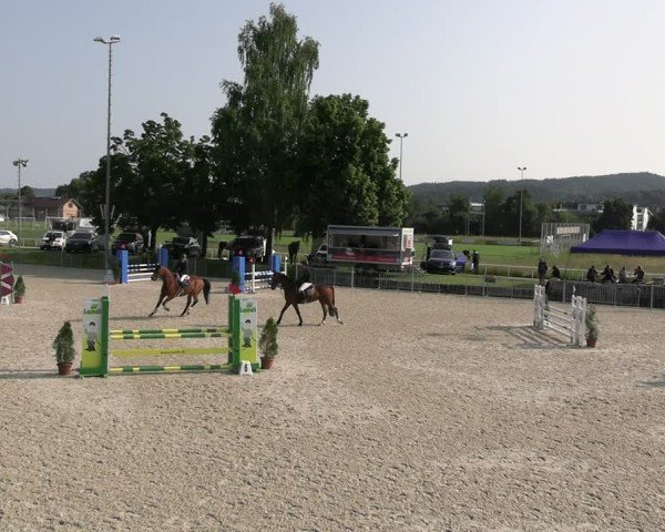Reitturnier Fehraltorf 2025