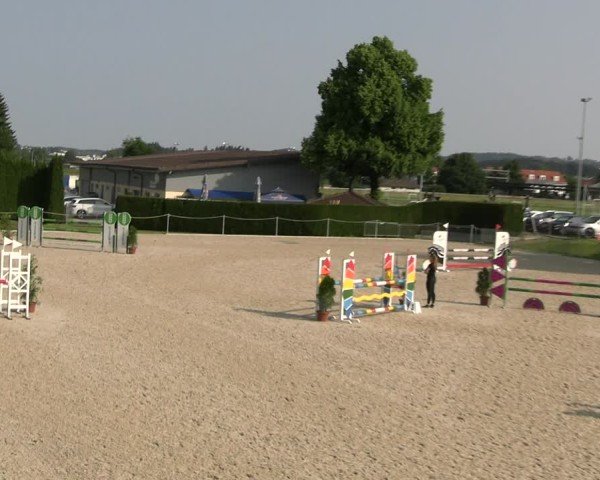 Reitturnier Fehraltorf 2025