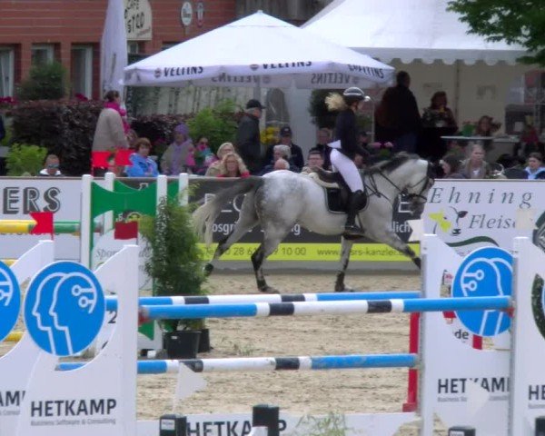 Reitturnier Borken 2025