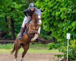 eventing horse Magic Maddy (German Riding Pony, 2020, from Mentos Charmeur)