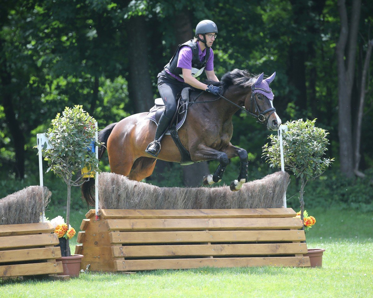 dressage horse Inspiration 2 (Trakehner, 2019, from Zauberreigen)