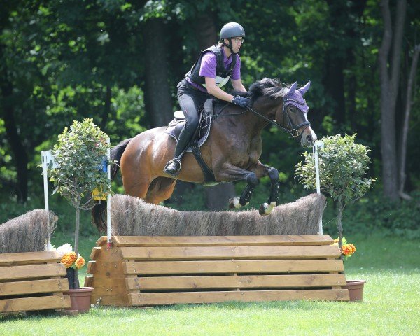 dressage horse Inspiration 2 (Trakehner, 2019, from Zauberreigen) dressage horse Inspiration 2 (Trakehner, 2019, from Zauberreigen)