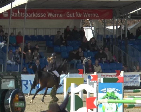 Reitturnier Werne-Lenklar 2014