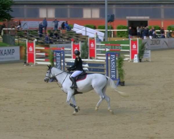 Reitturnier Borken 2025