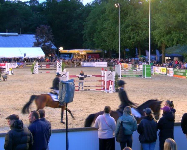Reitturnier Borken 2025