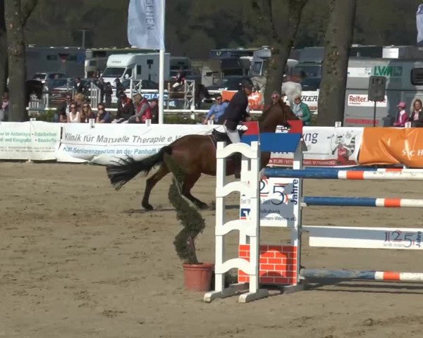 Reitturnier Werne-Lenklar 2014