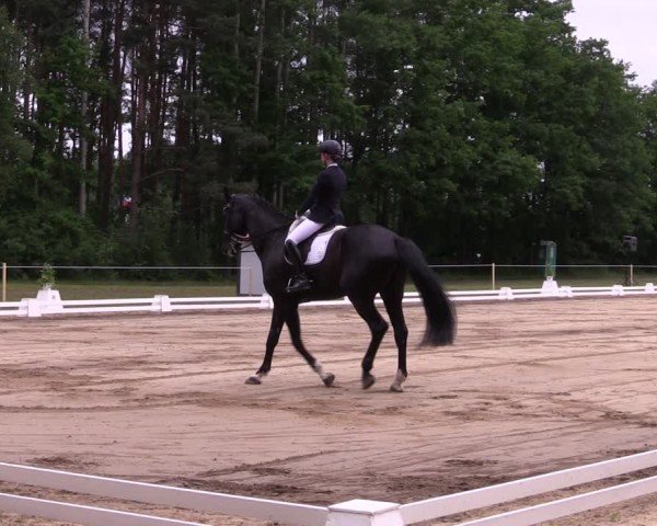 Reitturnier Horka 2025
