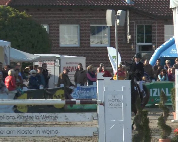 Lenklarer Reitertage 2014