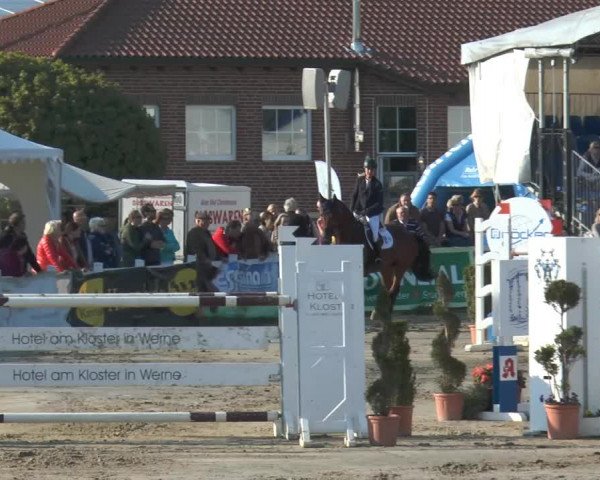 Reitturnier Werne-Lenklar 2014