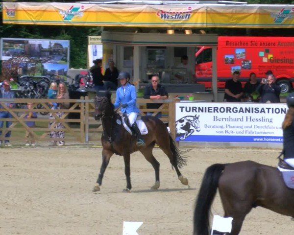 Reitturnier Borken 2025
