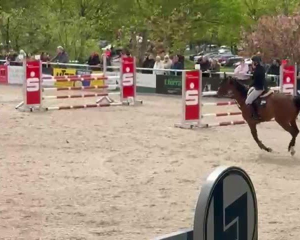 Video of Bijou de la royale