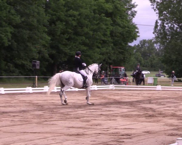 Reitturnier Horka 2025