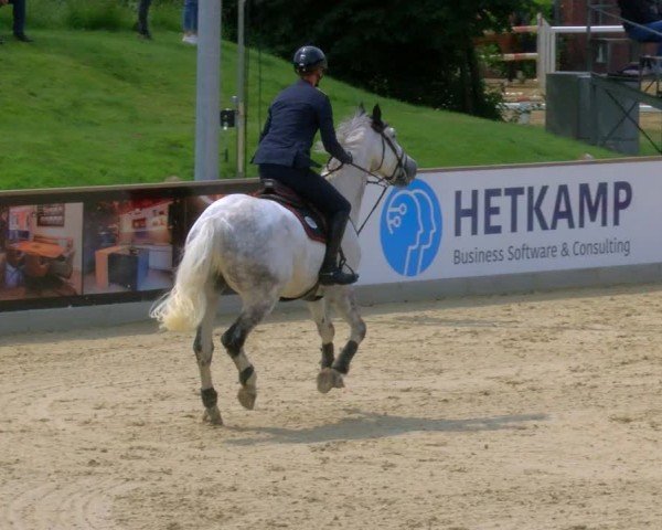Reitturnier Borken 2025