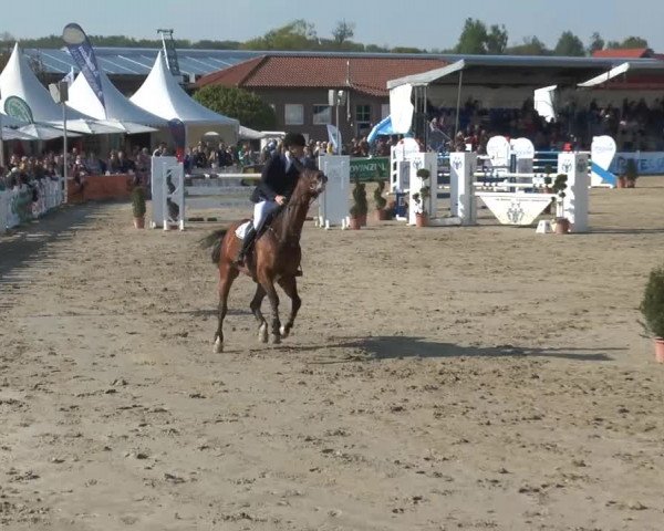 Reitturnier Werne-Lenklar 2014