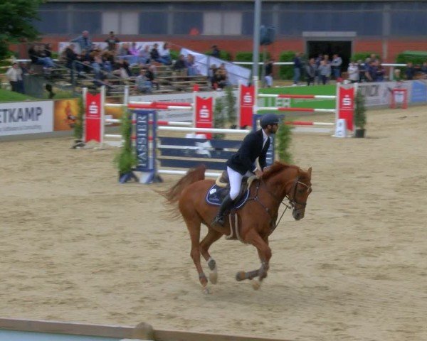 Reitturnier Borken 2025