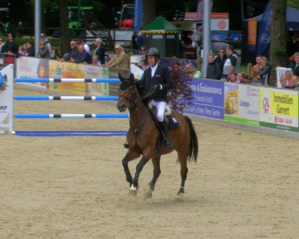 Reitturnier Borken 2025