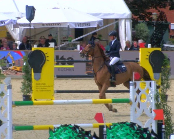 Reitturnier Borken 2025