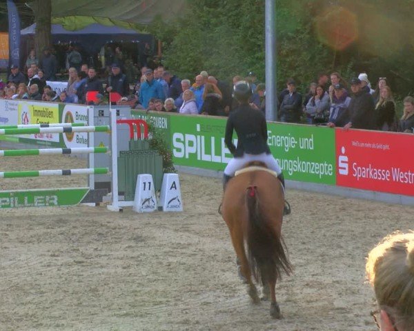 Reitturnier Borken 2025
