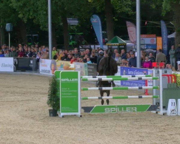 Reitturnier Borken 2025
