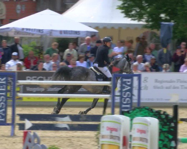 Reitturnier Borken 2025